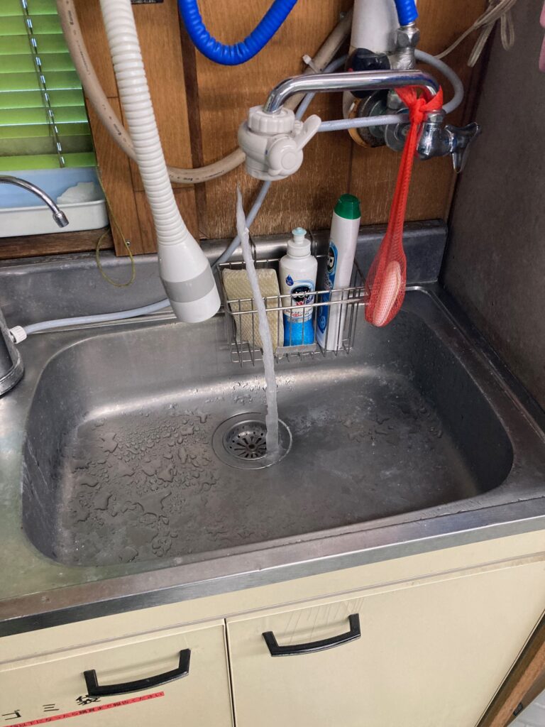 初観測でした。